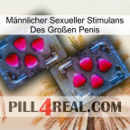Männlicher Sexueller Stimulans Des Großen Penis 15